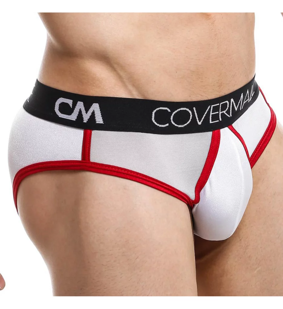 Loin Sheer Back Brief - Image 2