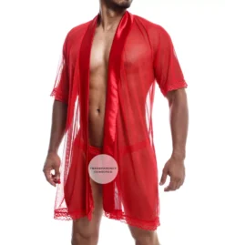 Sultry Robe & Thong Set